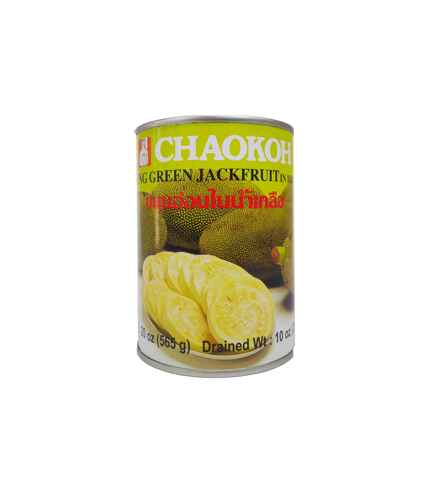 JACK FRUIT IN BRINE (20 OZ)